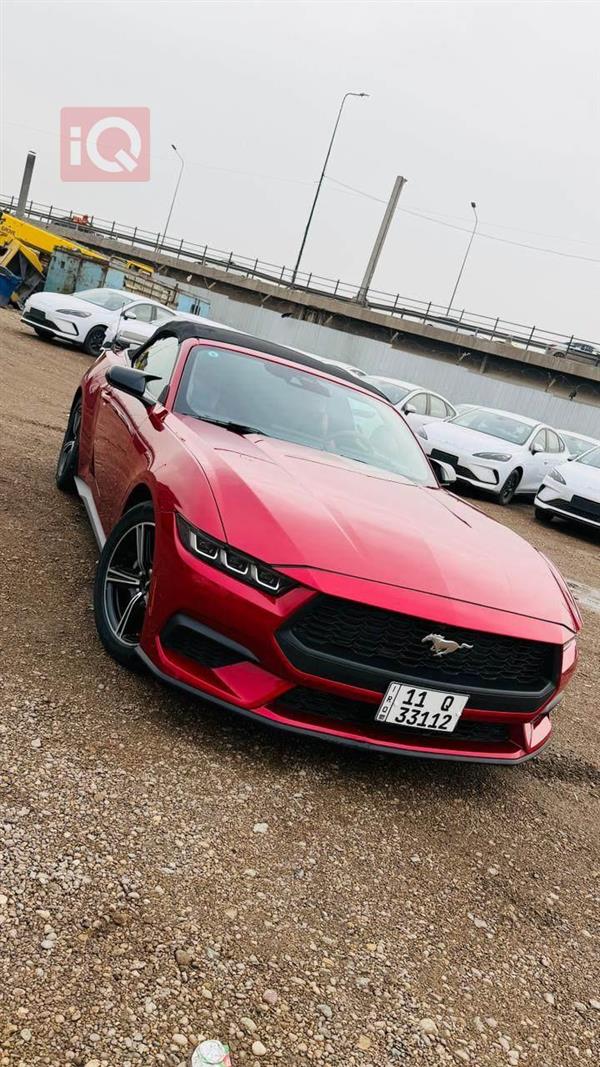 فۆرد مۆستانگ 2024  بۆ فرۆشتن لە عێراق - نەجەف